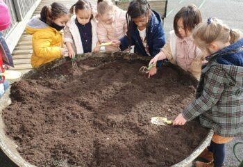 20240404_111617 20240404_111617