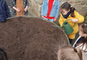 20240404_112313-1 20240404_112313-1